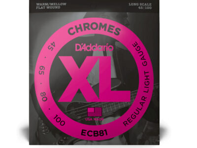 D'Addario ECB81 Chromes Flatwound Bass Guitar Strings, Light, Long Scale, 45-100