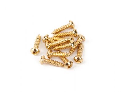 Pure Vintage Tuning Machine Mounting Screws