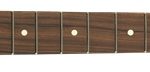 Fender® Standard Series Telecaster® Neck, 21 Medium Jumbo Frets