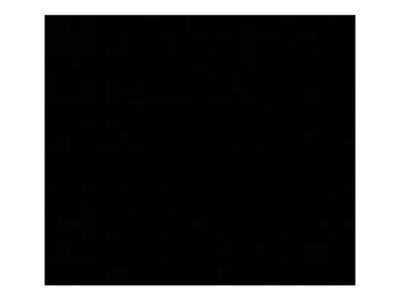 Oxford Aerosol Nitrocellulose Lacquer - Black / Ebony