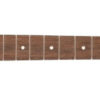 Fender® American Pro Tele Neck