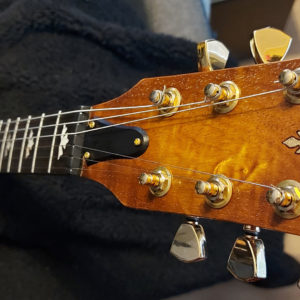 Guitar Of The Month – April, 2022