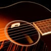 LR Baggs Anthem SL Acoustic Guitar
