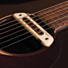 LR Baggs M80 Acoustic Guitar