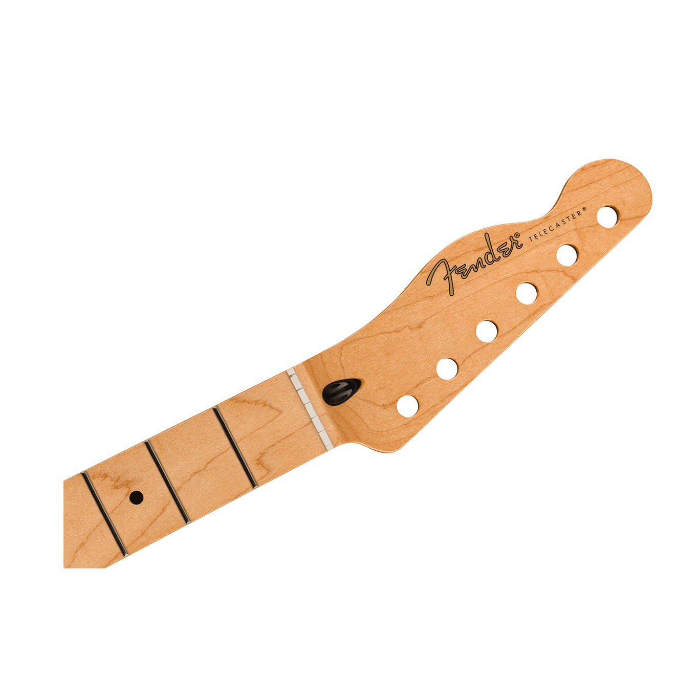 Reverse　Medium　Frets,　Shop　Series　Fender®　