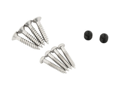 Bigsby Polished Stainless Steel Mounting Screws Pack