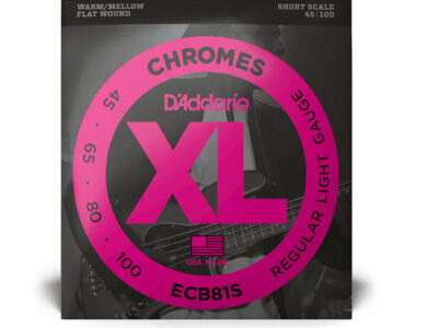 D'Addario ECB81S Chromes Flatwound Bass Guitar Strings, Light, Short Scale, 45-100