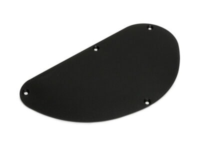 Ibanez 4PTX5A0007 JS Control Cavity Plate